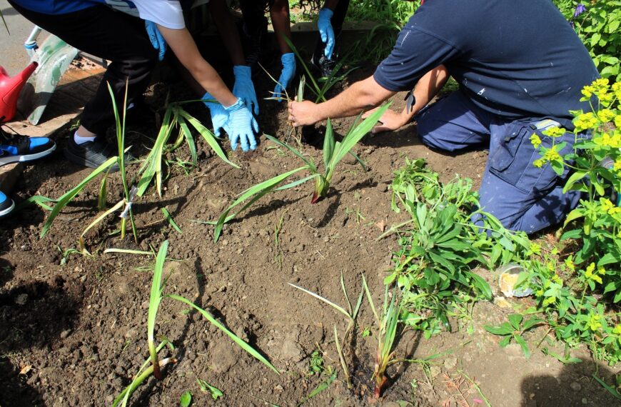 Gardening in Rangemoor Open Space to Celebrate Intergenerational Week – 10 May 2024