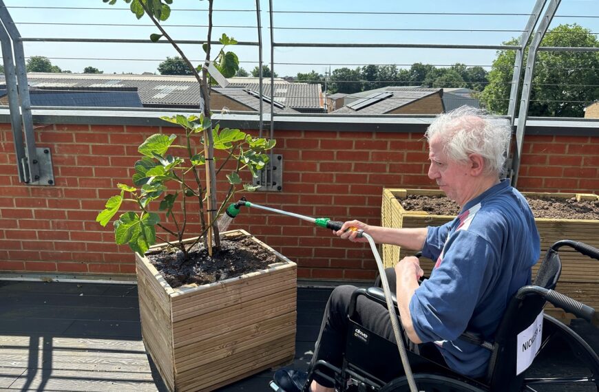 Gardening on the Balcony – 21 July 2024