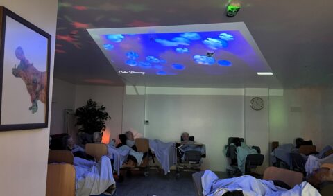 Sensory Session with Projection – 8 January 2025