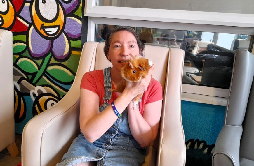 Whiskers and Warmth – Guinea Pig Play Sessions – August 2025