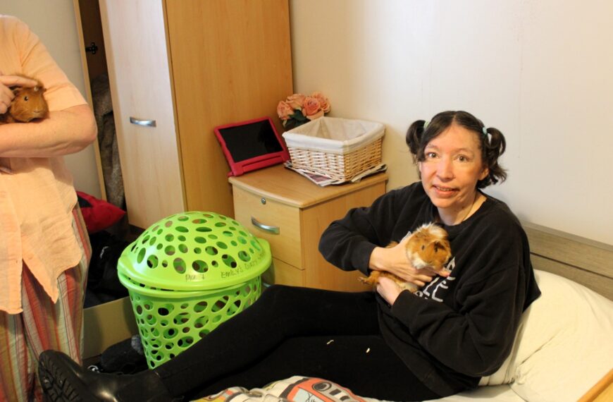 Our Guinea Pigs Move into Emily’s Room for Cozy Comfort – September 2025