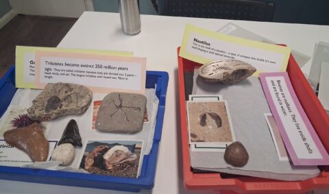 Sensing a Place at Bruce Castle Museum – 26 February 2026